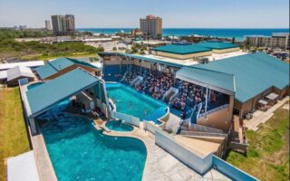 Gulf-World-drom-photo2_8D860270-3645-4C54-806B9361005D8643_0225d0d1-ec4b-4f9d-aa38c810762c0383